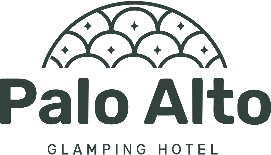 Logo Palo Alto